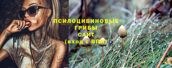 стафф Нестеровская