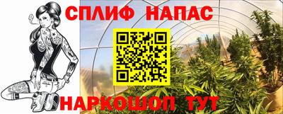 гашик Абакан