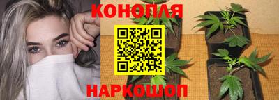 гашик Абакан