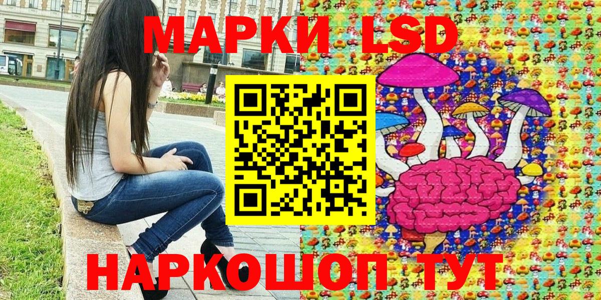 Бошки Шишки Апатиты