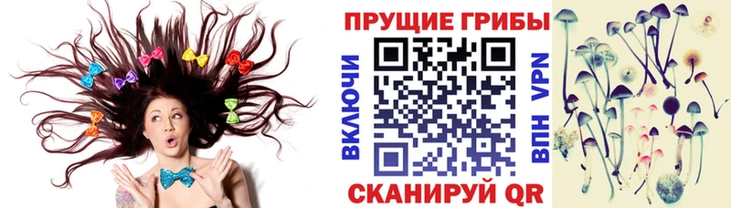 Псилоцибиновые грибы MAGIC MUSHROOMS  Апатиты 