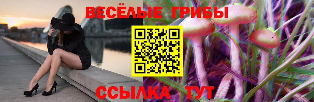 Галлюциногенные грибы GOLDEN TEACHER  Вход с VPN  Апатиты 