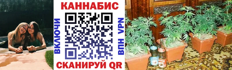 Конопля MAZAR Апатиты